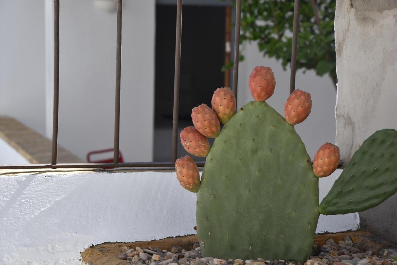 Espejo  Casa Almara B&B 외부 사진